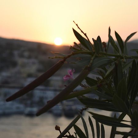 Marea Studios Simi Dış mekan fotoğraf