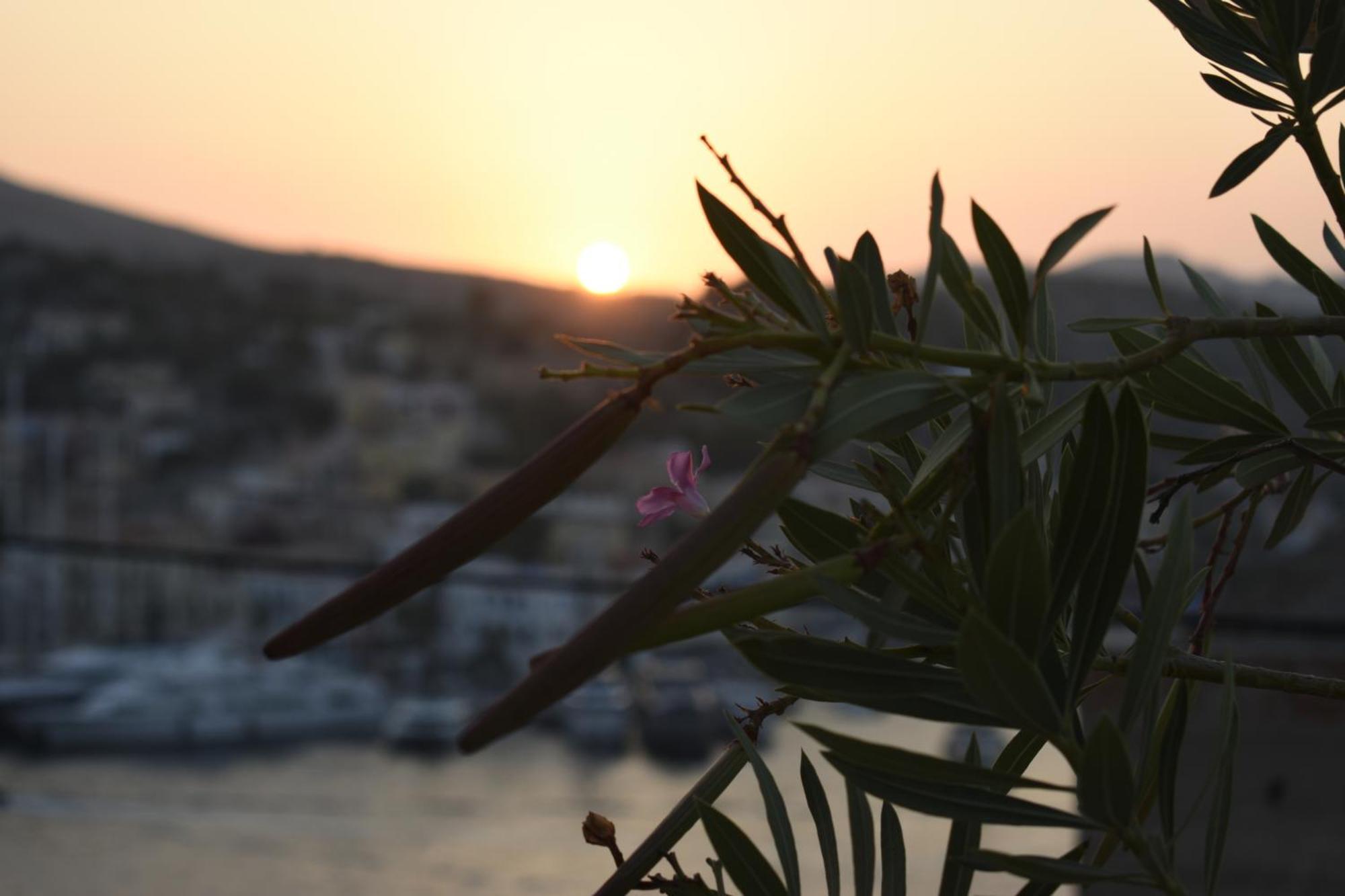 Marea Studios Simi Dış mekan fotoğraf